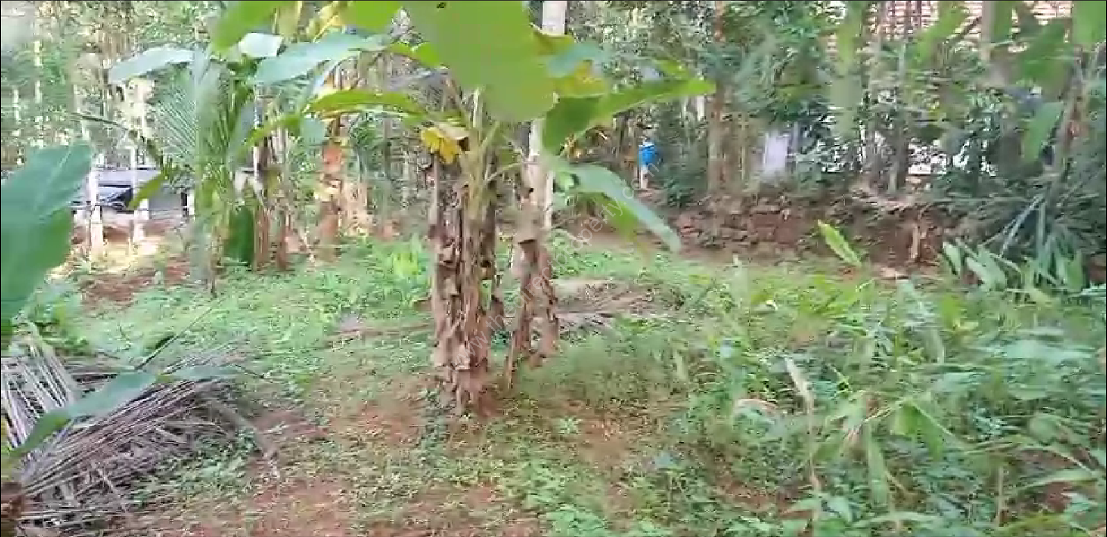 image_2025-06-01_084636457 Land for sale in Balussery