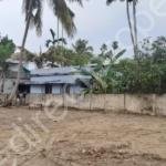 Mamangalam Plot for sale