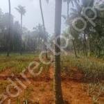Land in Thrissur