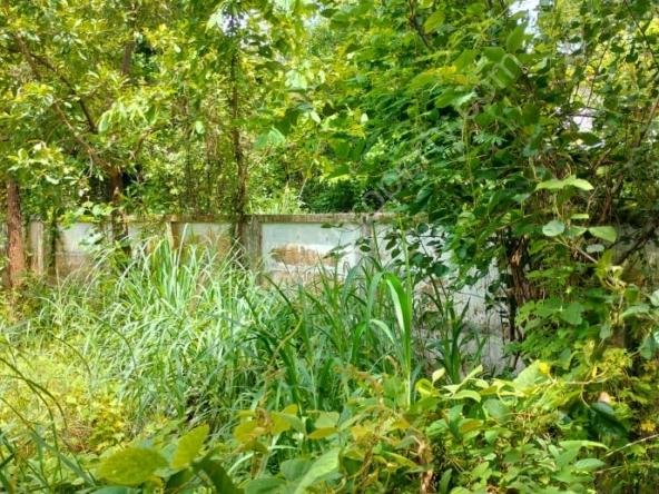 Residential land for sale in Velappaya Thrissur