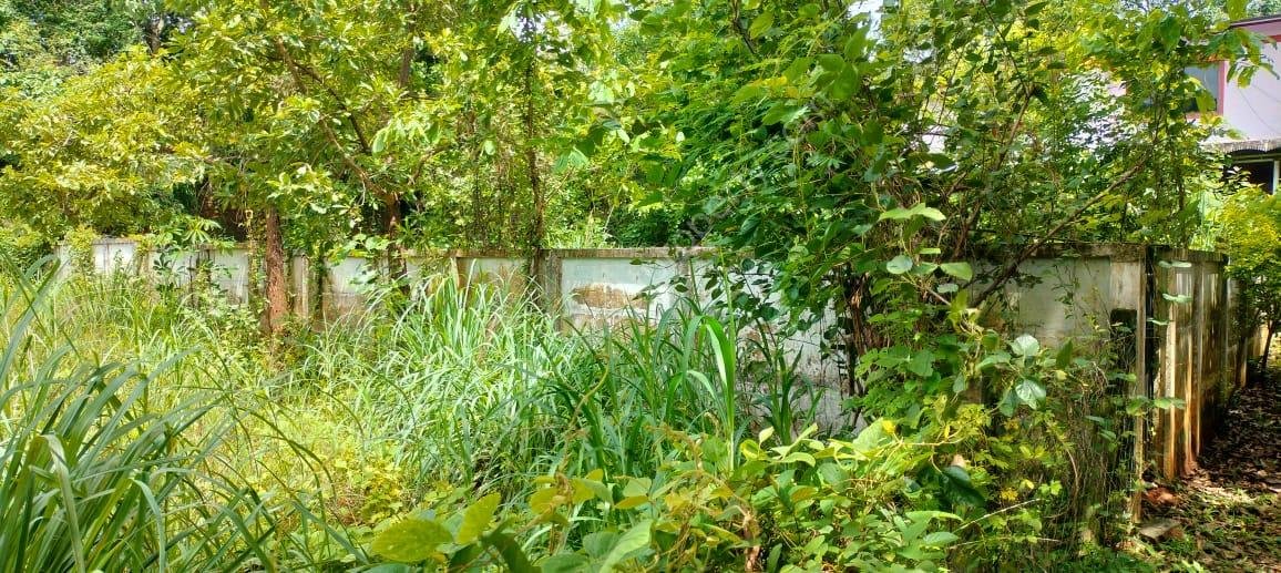 Residential land for sale in Velappaya Thrissur