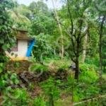 Land for sale in Poomala Thrissur