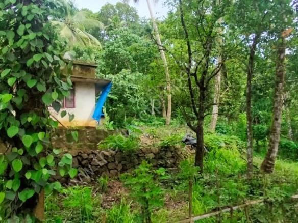 Land for sale in Poomala Thrissur