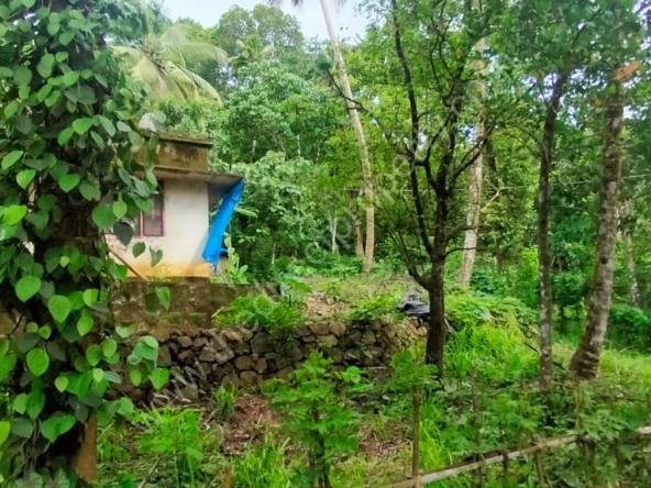 Land for sale in Poomala Thrissur