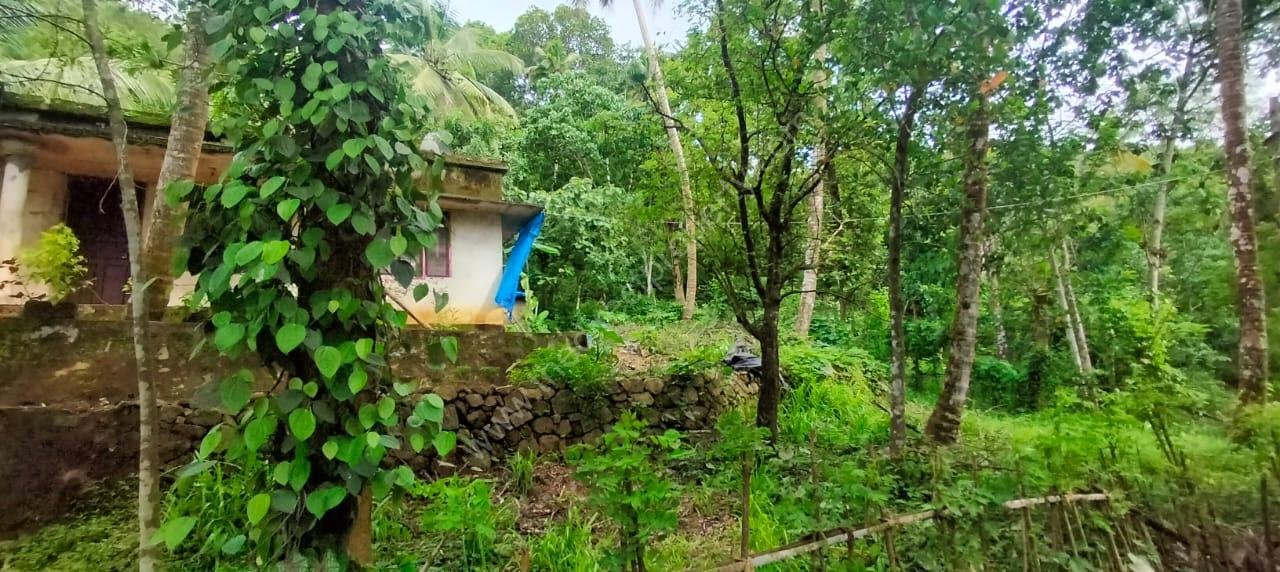 Land for sale in Poomala Thrissur