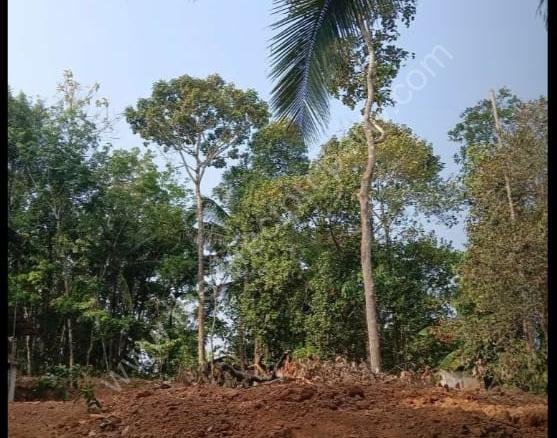 Land for sale in Kottarakkara
