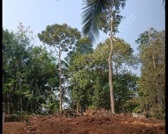 Land for sale in Kottarakkara