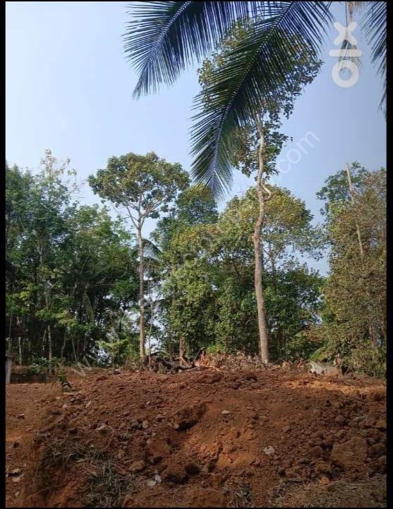 Land for sale in Kottarakkara