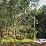 Agricultural land for sale