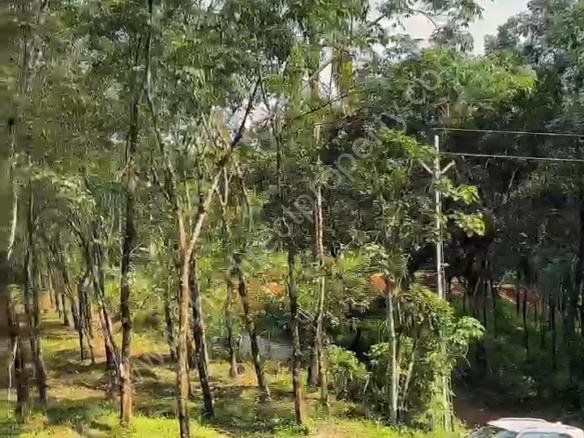 Agricultural land for sale