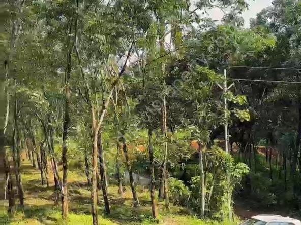 Agricultural land for sale