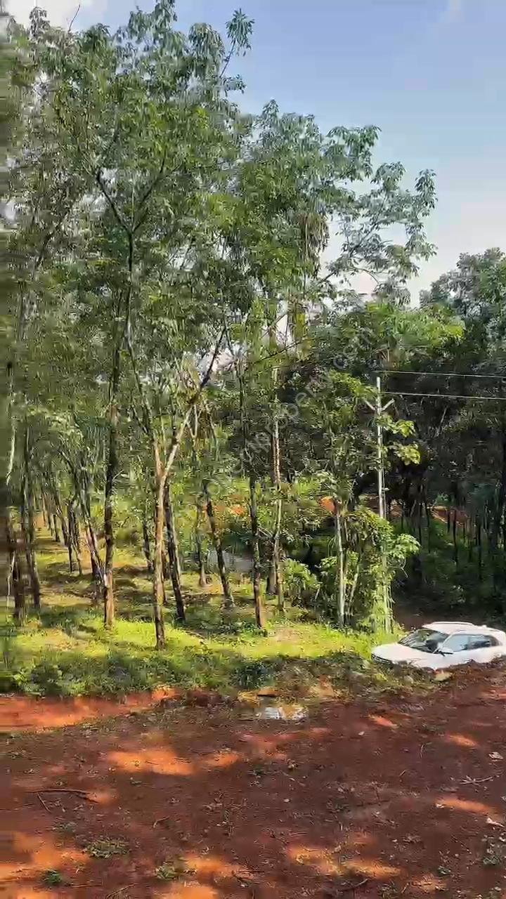 Agricultural land for sale