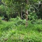 plot tor sale near Technopark