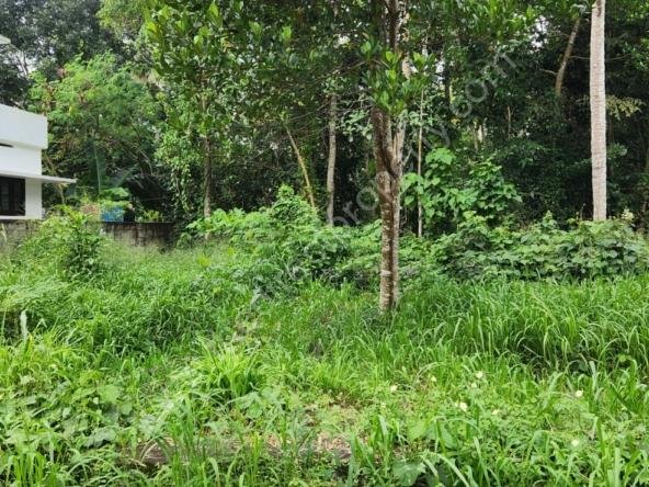 plot tor sale near Technopark