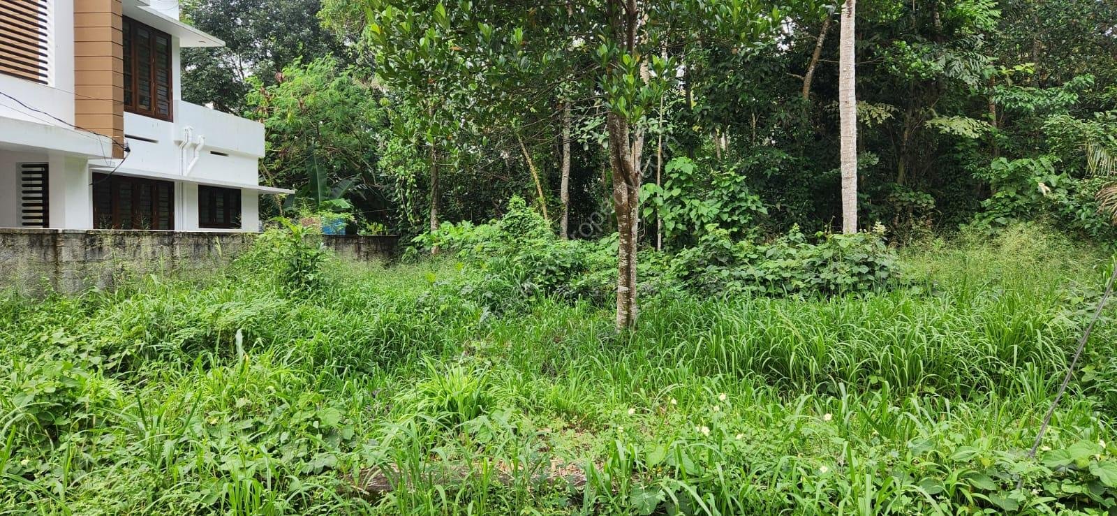 1000977796 plot tor sale near Technopark