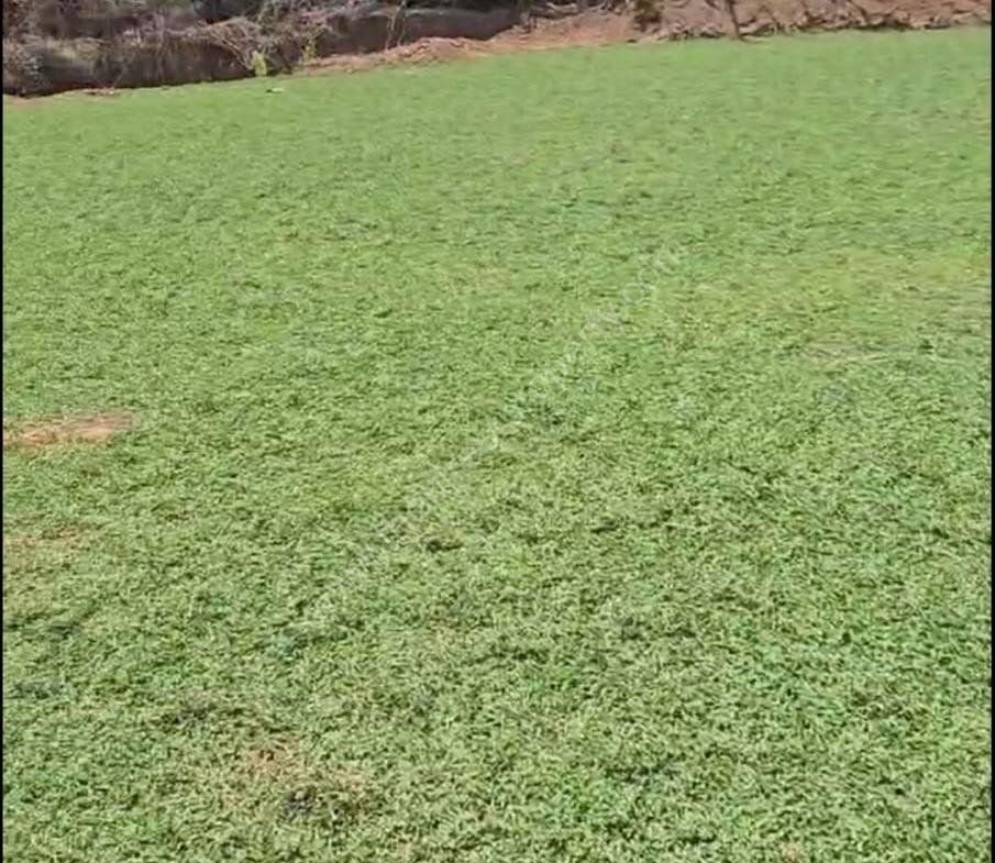 Commerical land for sale in Kuthiran