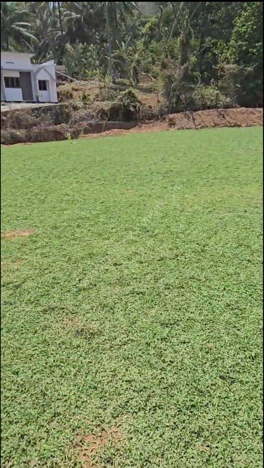 Commerical land for sale in Kuthiran