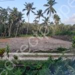 Land for sale in Mangalapuram Tvm