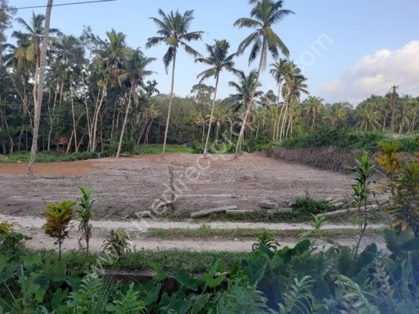 Land for sale in Mangalapuram Tvm