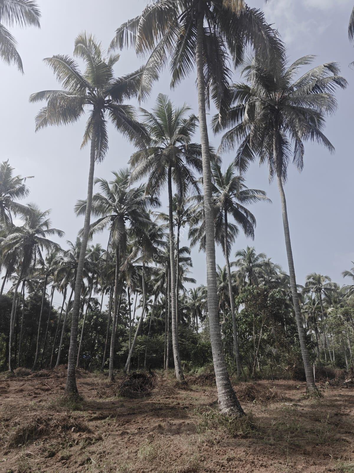 2223eca6218-cc3d-45a1-b97a-7d80cf9e4a84