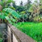 Land for sale in Punkunnam. Udayanagar, Thrissur.