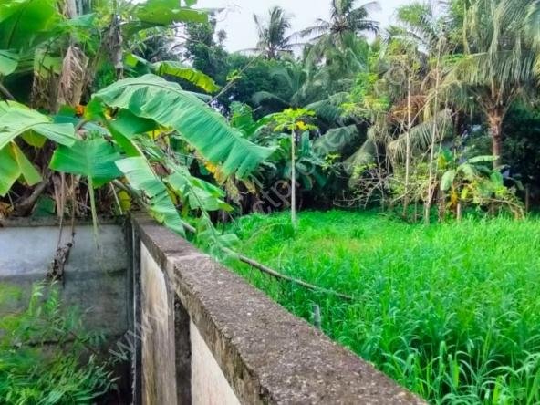 Land for sale in Punkunnam. Udayanagar, Thrissur.