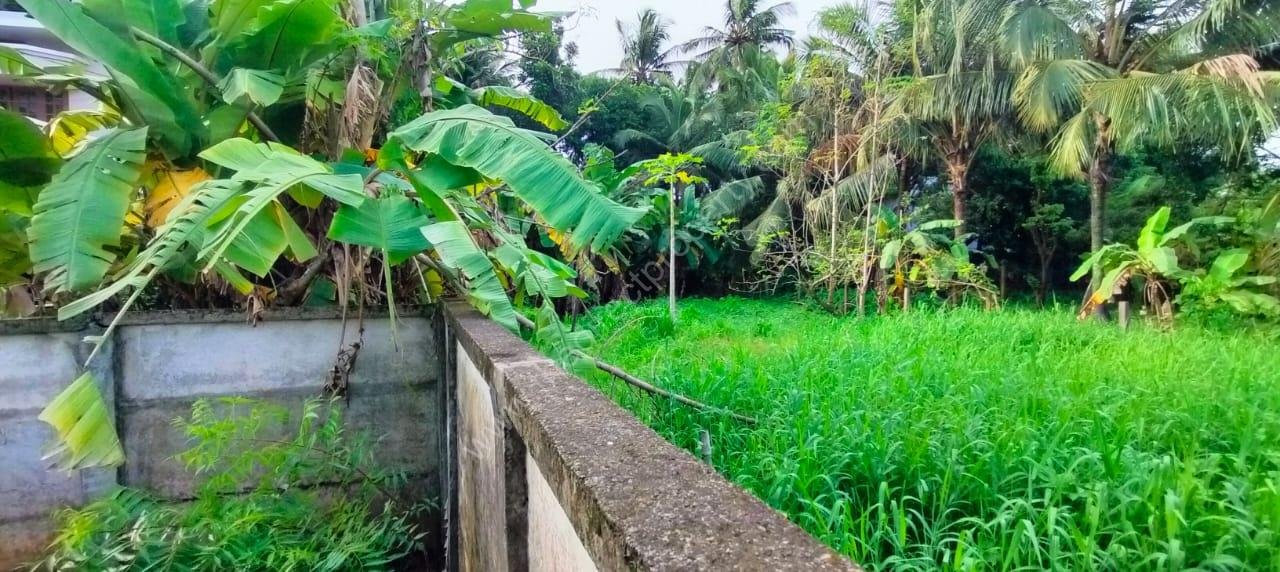 Land for sale in Punkunnam. Udayanagar, Thrissur.