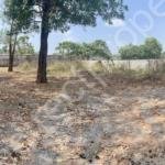 Plot for sale near Rajagiri Hospital Aluva