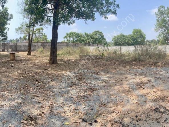 Plot for sale near Rajagiri Hospital Aluva
