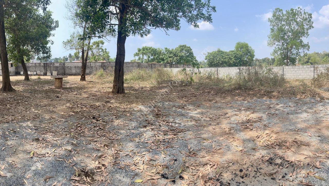Plot for sale near Rajagiri Hospital Aluva