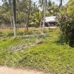 Residential land for sale in Chelakkottukara