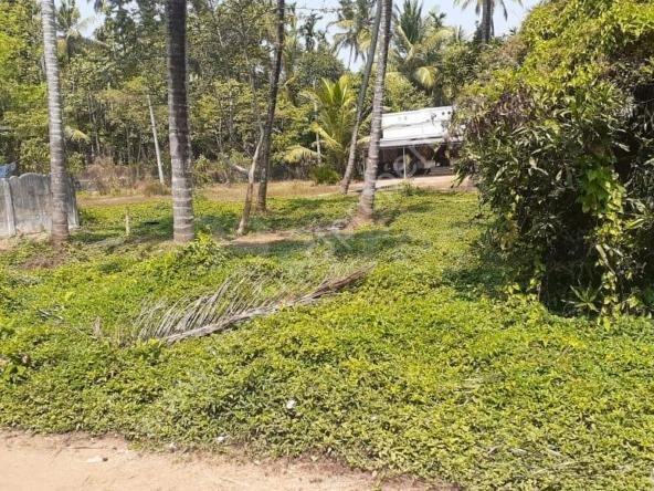 Residential land for sale in Chelakkottukara