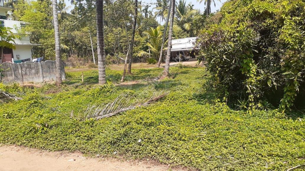 Residential land for sale in Chelakkottukara