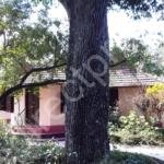 Land with house for sale in Chettikulangara