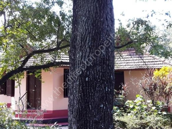 Land with house for sale in Chettikulangara