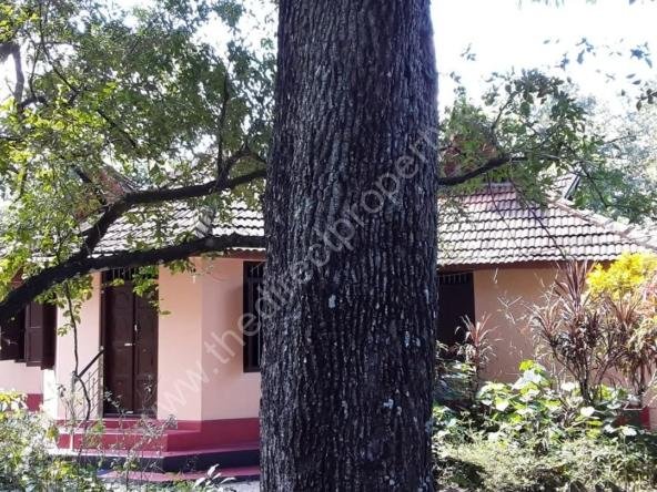 Land with house for sale in Chettikulangara