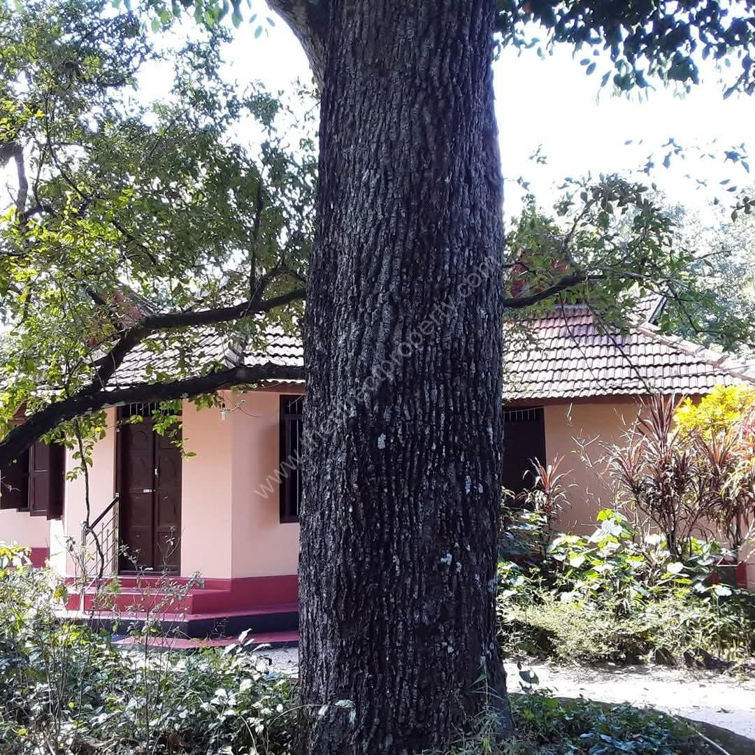 House 1 Land with house for sale in Chettikulangara