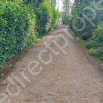 Low budget House plot for sale in Poopara