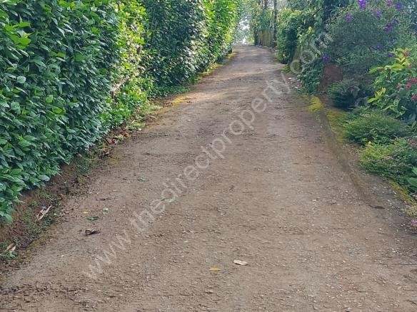 Low budget House plot for sale in Poopara