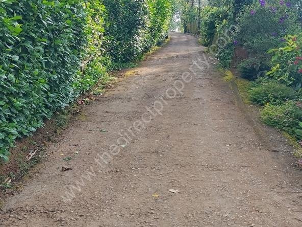 Low budget House plot for sale in Poopara