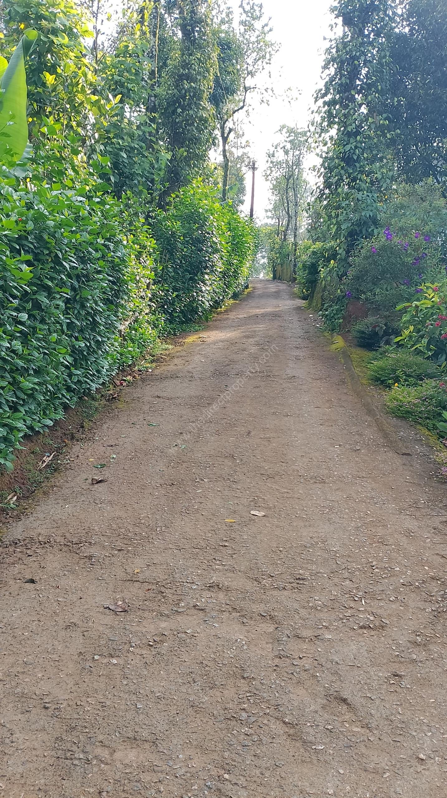 Low budget House plot for sale in Poopara