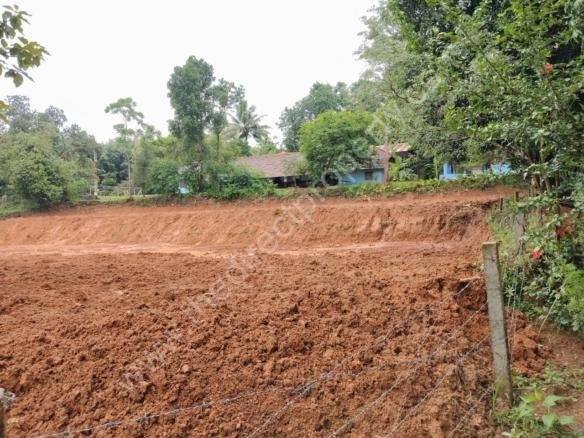 Land for Sale in Adakkaputhur Palakkad