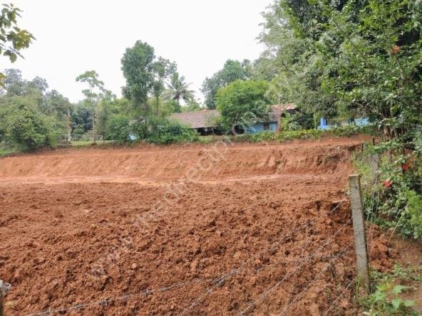 Land for Sale in Adakkaputhur Palakkad