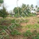 Land for sale in Ponkunnam Kottayam