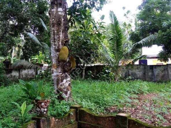 Land for sale in Kattanam