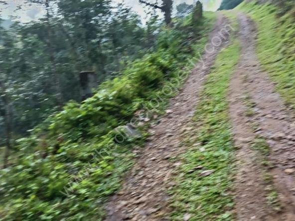 Land for sale in Uthimoodu Ranni