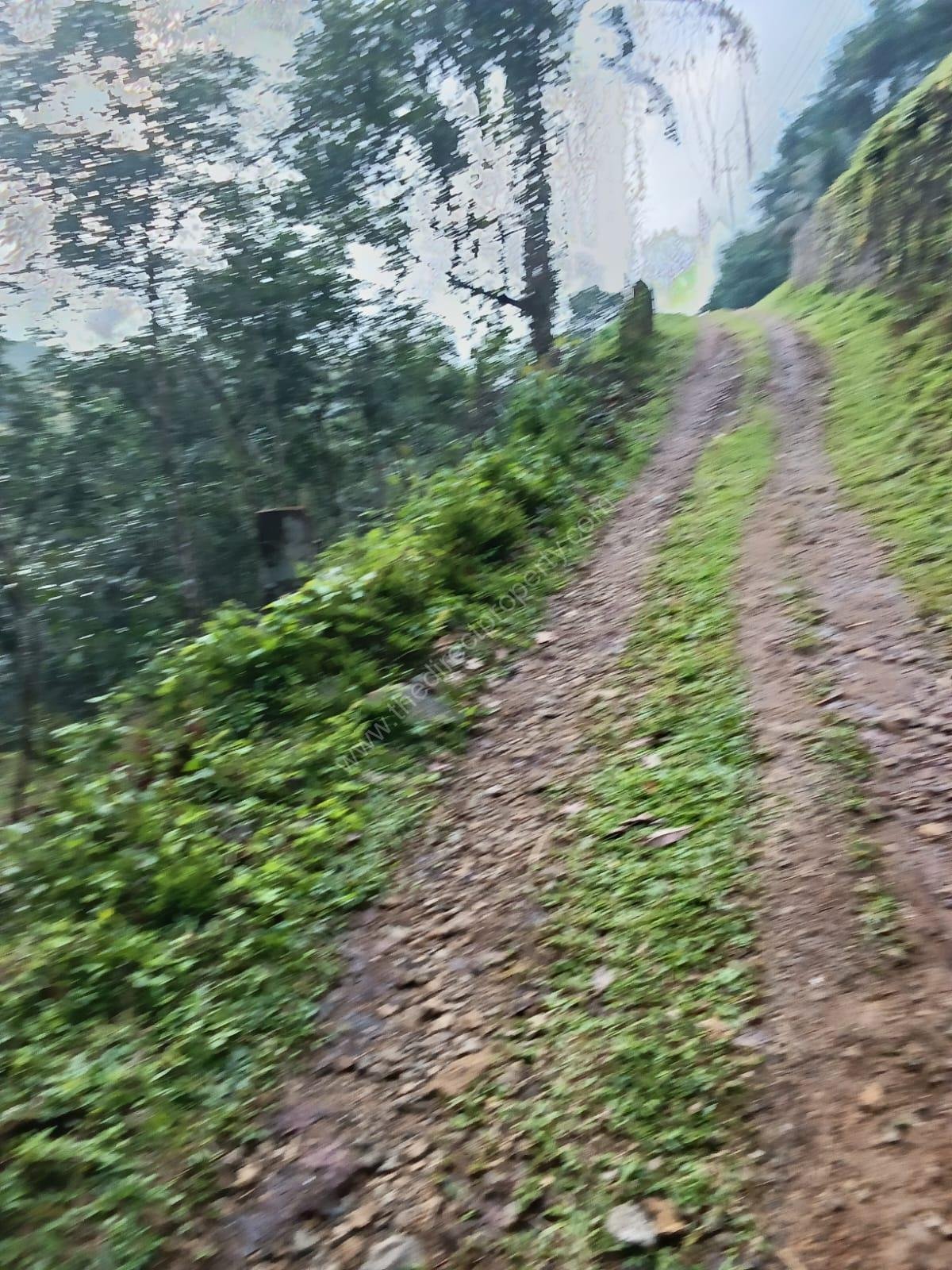 IMG-20250710-WA0015 Land for sale in Uthimoodu Ranni