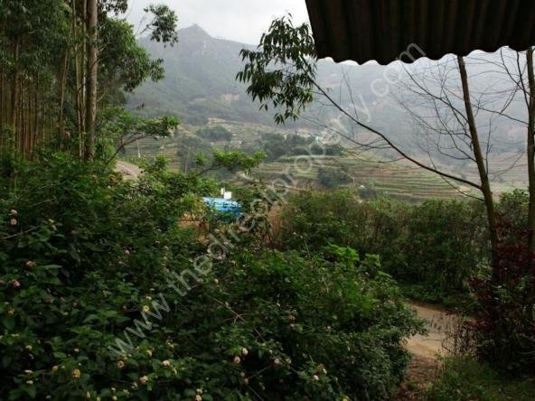 Plot for sale in Vattavada Munnar