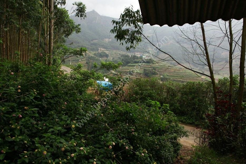 Plot for sale in Vattavada Munnar
