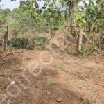 Land for Sale in Mala